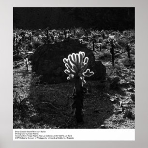 Deep Canyon Wüstenforschungsstation von Ansel Adam Poster