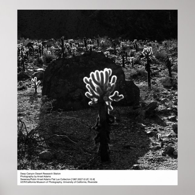 Deep Canyon Wüstenforschungsstation von Ansel Adam Poster (Vorne)