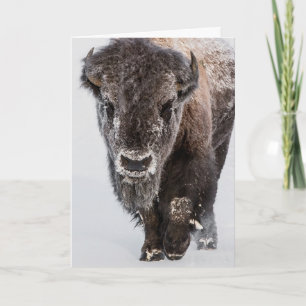 "Deep Freeze"-Urlaubskarte Karte