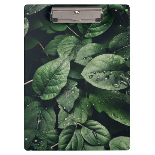 Deep Green Jungle Leaf Foliage Klemmbrett
