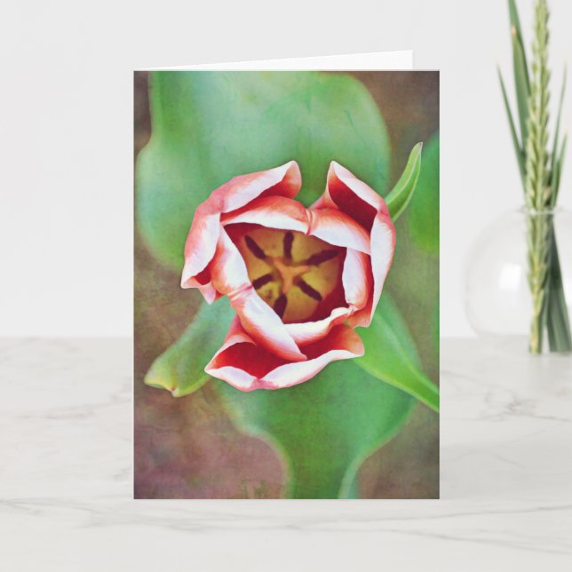 Deep In der Tulip Blume Art Note Card Karte (Vorderseite)