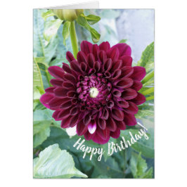Deep Lila Dahlia Blume Geburtstagskarte