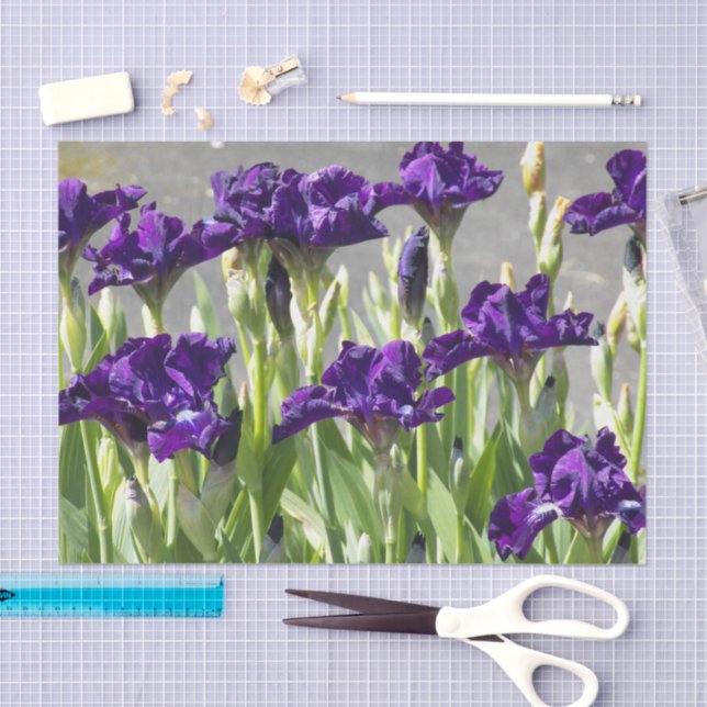 Deep Lila Irises Floral Seidenpapier (Handwerk)