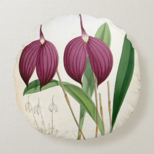 Deep Lila Orchid Vintag Masdevallia Harryana Rundes Kissen