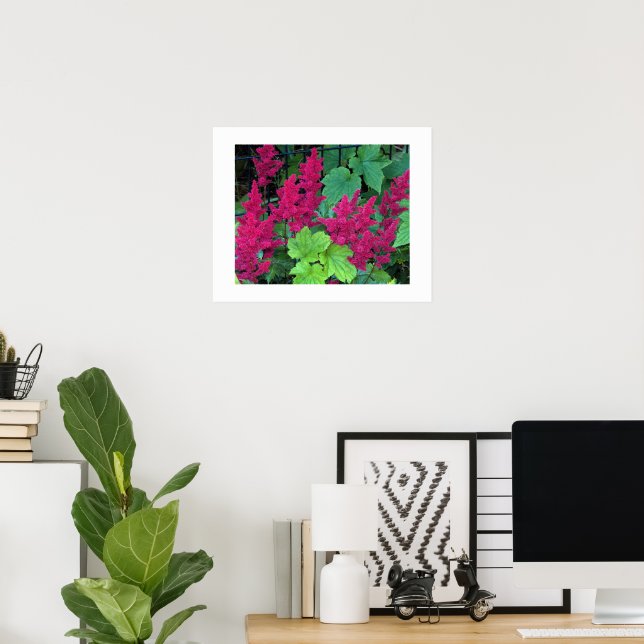 Deep Pink Astilbe Blooms Blumen Poster (Heimbüro)