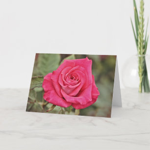 Deep Pink Rose Art Card Karte
