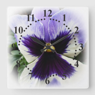 deep purple on white pansy quadratische wanduhr