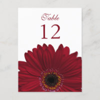 Deep Red Gerbera Daisy Tischnummer Card Flat