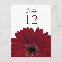 Deep Red Gerbera Daisy Tischnummer Card Flat