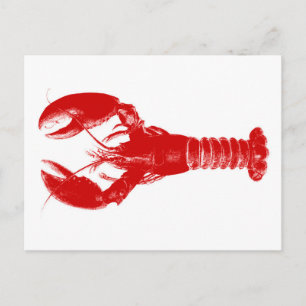 Deep Red Lobster on White Postkarte