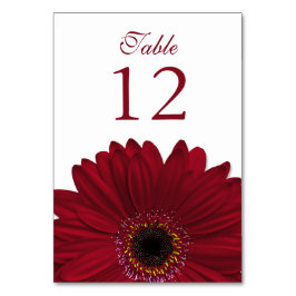 Deep Red White Gerbera Daisy Wedding Tischnummer