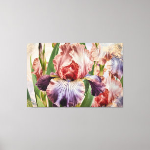 *~* Deep Rose IRIS Irises Vintag Floral TV2 Leinwanddruck