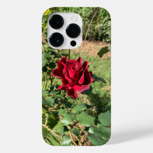 Deep Rote Rose iPhone 14 Pro Fall Case-Mate iPhone 14 Pro Hülle