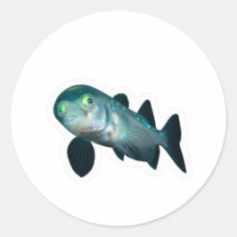 Deep Sea Barreleye Fisch Aufkleber, Transparenter Runder Aufkleber