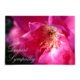 "Deepest Beileid" Rosa Rugosa Rose Card Karte