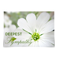 "Deepest Beileid" Schnee-in-Sommer-Blütenzeit