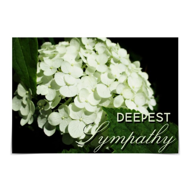 "Deepest Beileid" White Hydrangea Card Karte (Von Creator hochgeladen)
