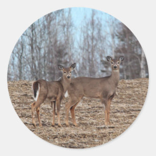 Deer_0335 Runder Aufkleber