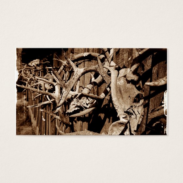 Deer Antlers (Vorderseite)