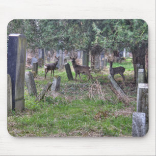Deer at Zentralfriedhof Mousepad