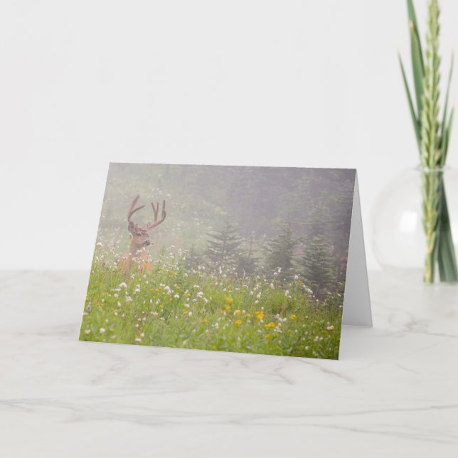Deer Buck | Nationalpark Rainier Karte (Vorderseite)