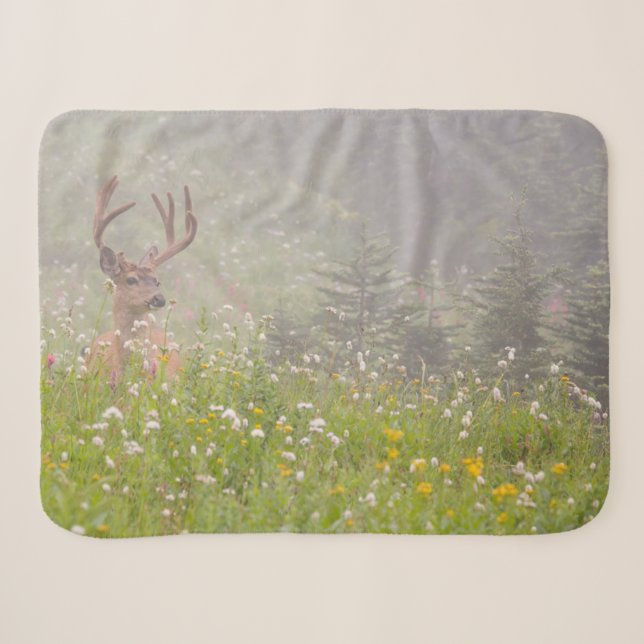 Deer Buck | Nationalpark Rainier Sherpadecke (Vorderseite (Horizontal))