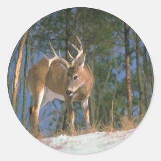 Deer Buck Runder Aufkleber