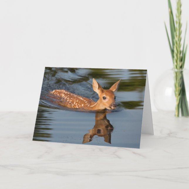 Deer Fawn | Minnesota Karte (Vorderseite)
