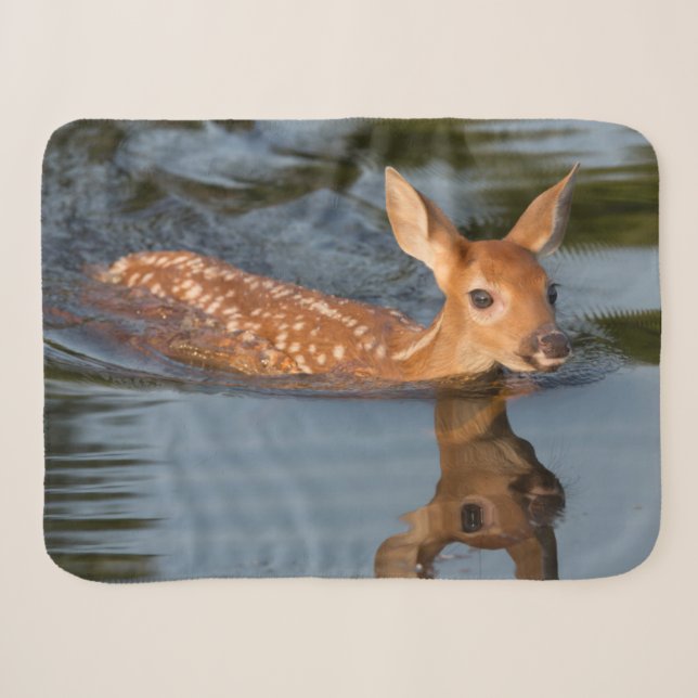 Deer Fawn | Minnesota Sherpadecke (Vorderseite (Horizontal))