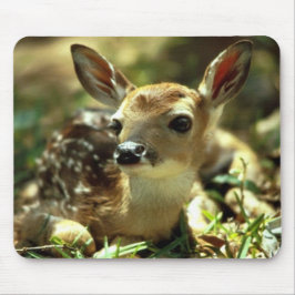 Deer Fawn Mousepad