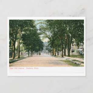 Deer Hill Ave, Danbury CT Vintag Postkarte
