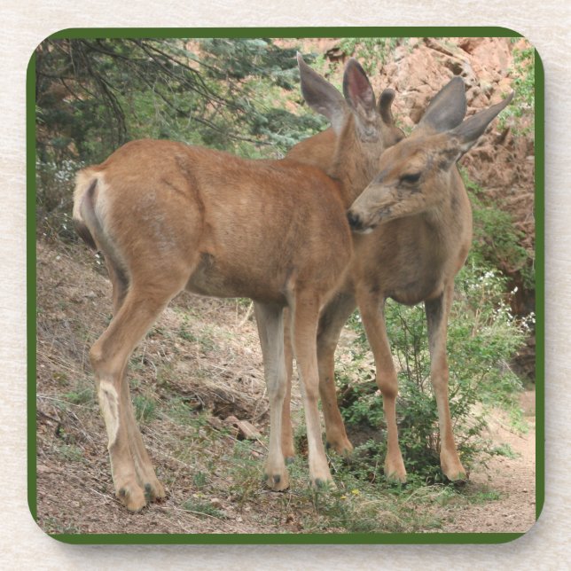 Deer Hugging Getränkeuntersetzer (Vorderseite)