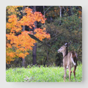 Deer In an Autumn Field II Quadratische Wanduhr
