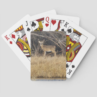 Deer in the Thicket Playing Cards Spielkarten