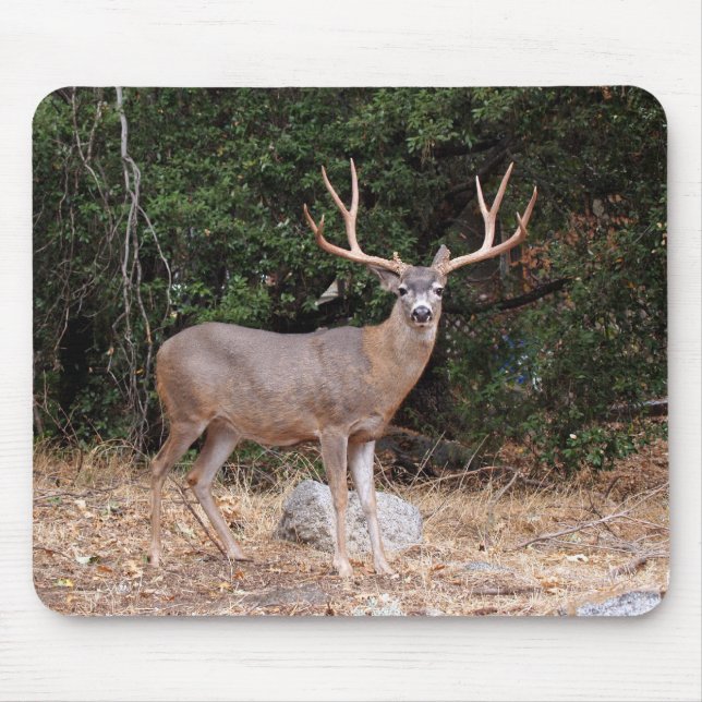 Deer Mousepad (Vorne)