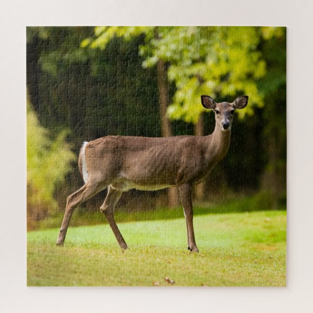 Deer on Golf Course Puzzle (Vertikal)