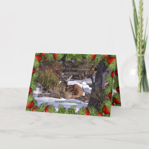 Deer Peace Liebe Joy Wildlife Christmas Card Feiertagskarte