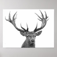 Deer Stag Schwarz-weiß Cabin Style Modernes Poster