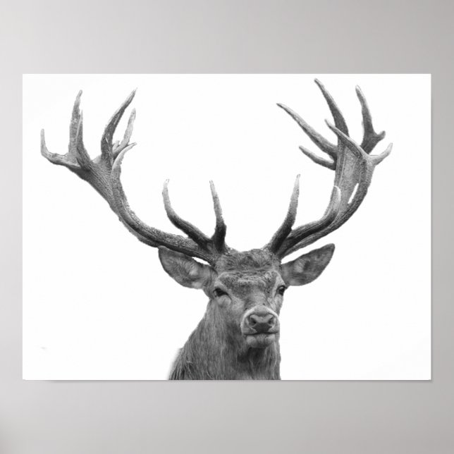 Deer Stag Schwarz-weiß Cabin Style Modernes Poster (Vorne)