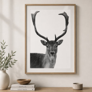Deer Stag Schwarz-weiß Cabin Style Poster