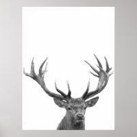 Deer Stag Schwarz-weiß Foto Poster