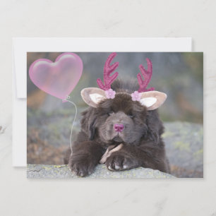 Deer Welpe Valentinstag Feiertagskarte
