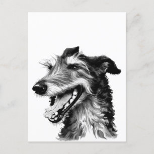 Deerhound   Niedlich Hound Postkarte