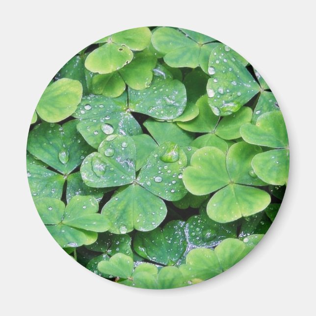 Deerpark Ireland Clover Dew Drops Magnet (Vorne)