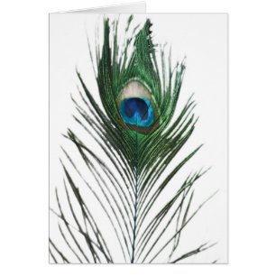 Defektes Peacock Feather