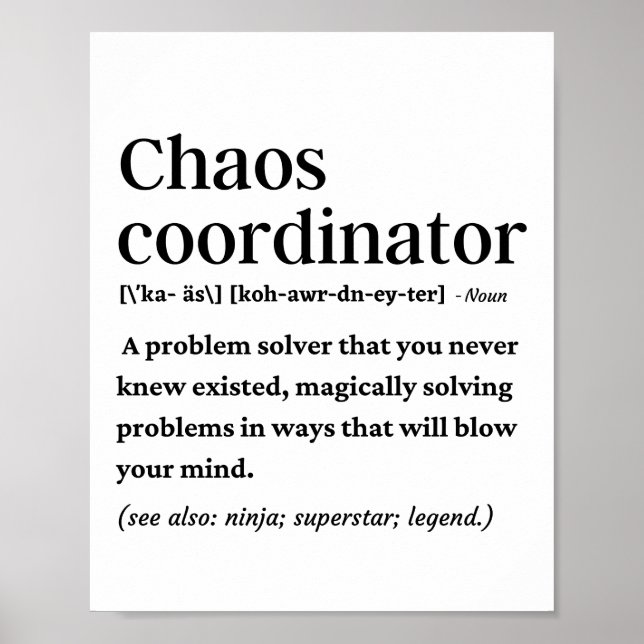 Definition des Koordinators für das Sonnenchaos Poster (Vorne)