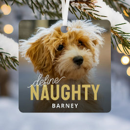 Definition von "Naughty Pet Foto Weihnachten Ornament Aus Metall