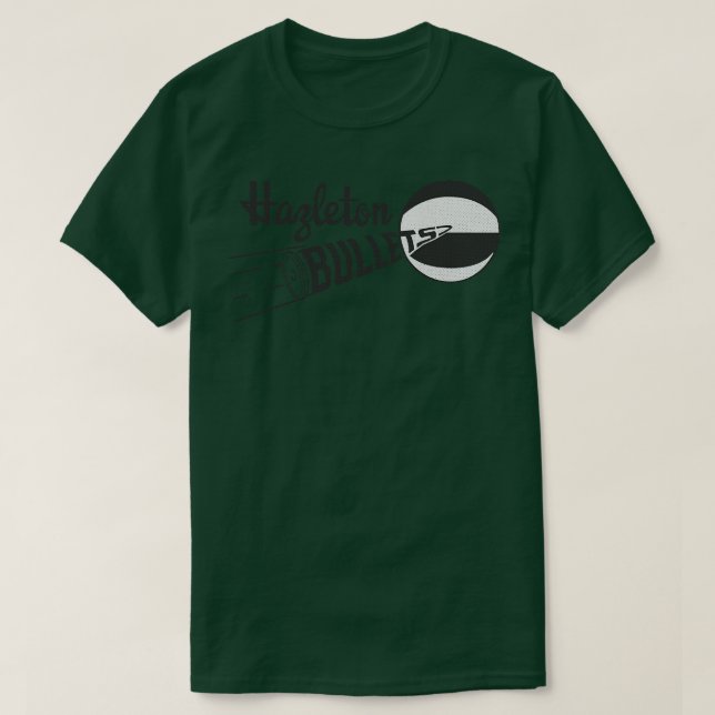 Defunktiont Hazleton Bullets EBA Basketball 1973 T-Shirt (Design vorne)