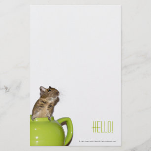 Degu in einer Teekanne 'Hello Briefpapier