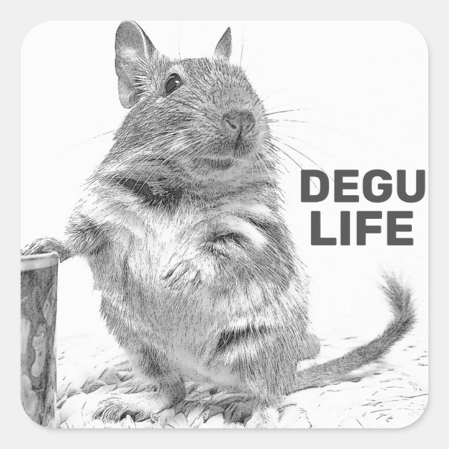 DEGU LIFE QUADRATISCHER AUFKLEBER (Vorderseite)